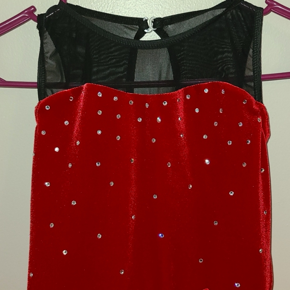 Beautiful Performance Dress - Picture 4 of 10